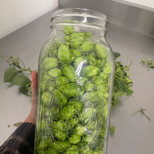 Hops Tincture