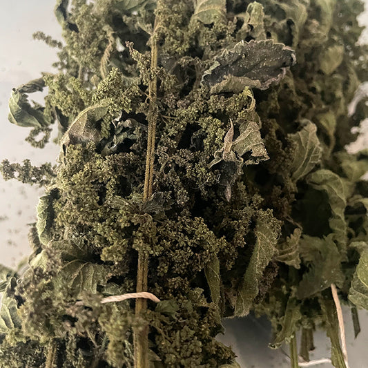 Nettle Seed Tincture