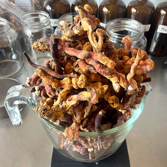 Reishi Mushroom Tincture