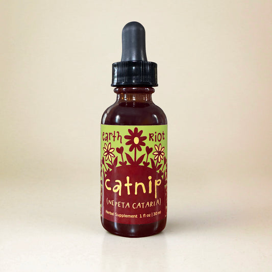 Catnip Tincture