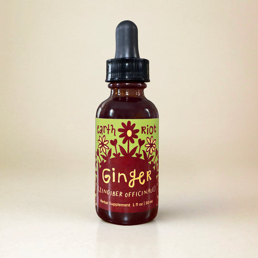 Ginger Tincture