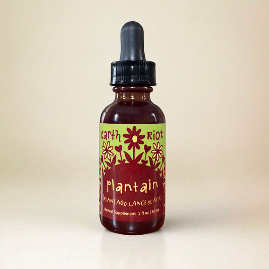 Plantain Leaf Tincture