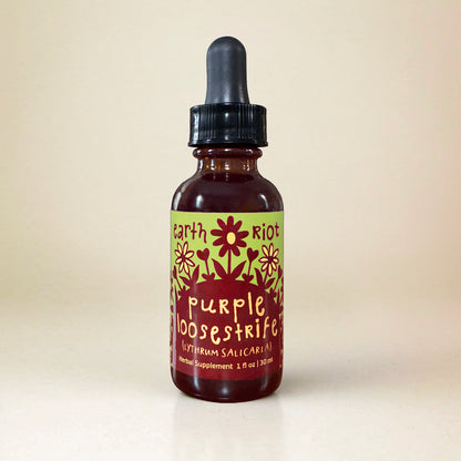 Purple Loosestrife Tincture